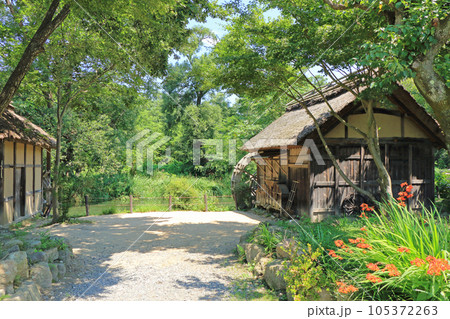 夏の安曇野 大王わさび農場の水車小屋 夏の安曇野 大王わさび農場の水車小屋 105372263