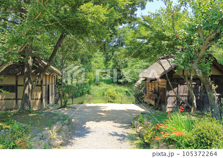 夏の安曇野 大王わさび農場の水車小屋 夏の安曇野 大王わさび農場の水車小屋 105372264