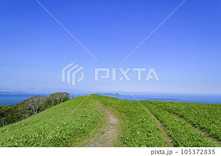 道東の尻羽岬(しれぱみさき) 105372835