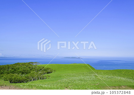 道東の尻羽岬(しれぱみさき) 道東の尻羽岬(しれぱみさき) 105372848