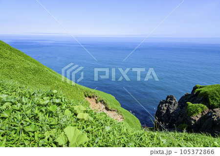 道東の尻羽岬(しれぱみさき) 105372866