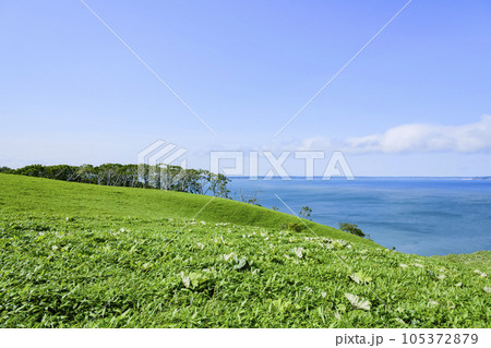 道東の尻羽岬(しれぱみさき) 道東の尻羽岬(しれぱみさき) 105372879