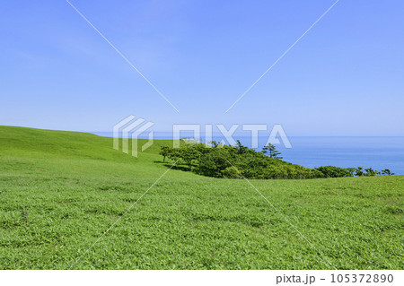 道東の尻羽岬(しれぱみさき) 道東の尻羽岬(しれぱみさき) 105372890