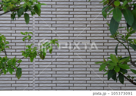 廻りに植栽 外壁光触媒タイル 横 廻りに植栽 外壁光触媒タイル 横 105373091