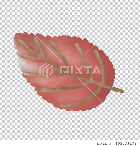 Autumn September clipart leaf pumpkin tree Leaf cartooN 105373178