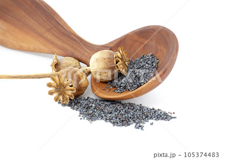 Dried poppy pod on heap of poppy seeds over white 105374483