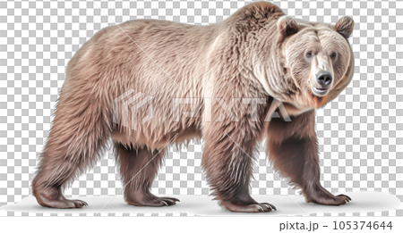 Image of Grizzly - No2-9 - 105374644