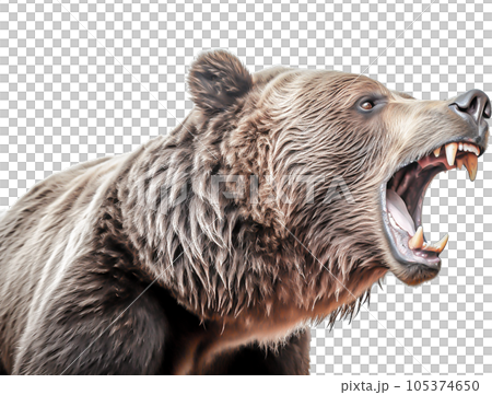 Image of Grizzly - No2-3 - 105374650