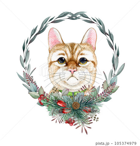 Cute funny cat face with winter season floral wreath decor. Watercolor painted illustration. Funny kitty with winter festive decoration floral element. Cute cat wreath decoration. White background 105374979