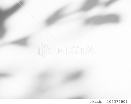 Shadow Tree Leaf on Plant Background,Overlay Light Silhouette Leaves on White Cement Wall Floor,Backdrop Nature Spring,Abstract on Gray Concrete Pattern Texture Design Tropical Summer or Environment. 105375601