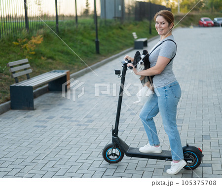 A woman rides an electric scooter with a dog in a backpack. Pappilion Spaniel Continental in a sling. A woman rides an electric scooter with a dog in a backpack. Pappilion Spaniel Continental in a sling. 105375708
