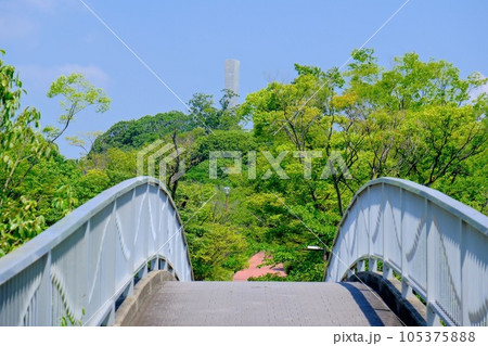 手柄山中央公園 105375888