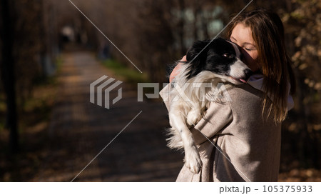 Caucasian woman holding a border collie in her arms while walking in the autumn park. Portrait of a girl with a dog. Caucasian woman holding a border collie in her arms while walking in the autumn park. Portrait of a girl with a dog. 105375933