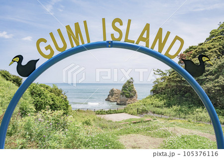 茨城　日立のグミ島 105376116