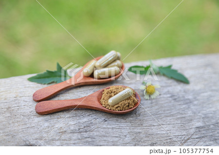 Alternative herbal medicine from herb in organic extraction for healthy eating. health care food for good living life. 105377754