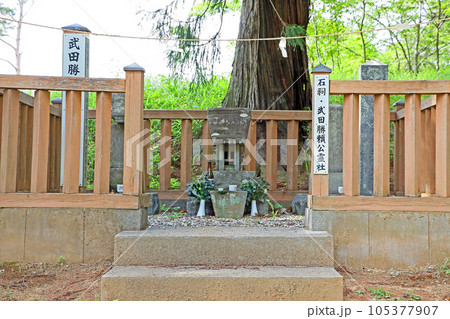 新府城跡（韮崎） 105377907