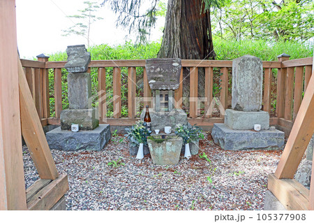 新府城跡（韮崎） 105377908