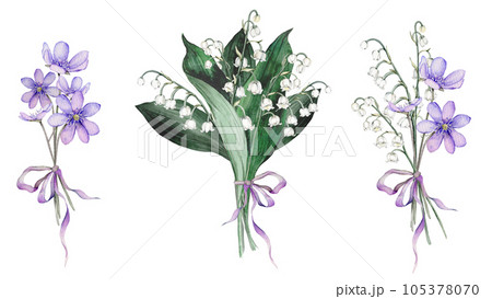 Watercolor flower arrangement with white bouquets of lilies of the valley and purple coppice. Isolated. Design for printing postcards, invitations to weddings, birthdays, spring and summer holidays 105378070