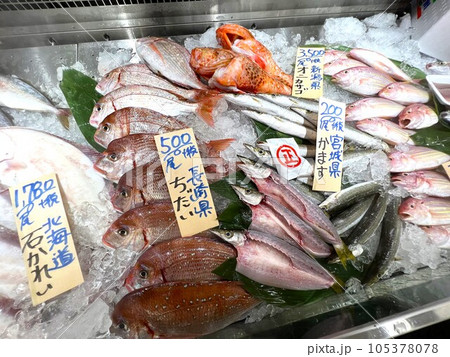 鮮魚売り場に並ぶ魚たち 鮮魚売り場に並ぶ魚たち 105378078