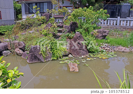 玉緒神社（甲府） 105378512