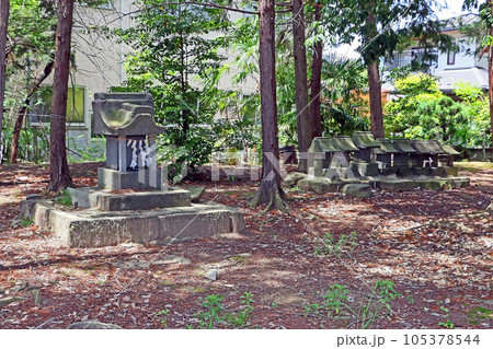 玉緒神社(甲府) 玉緒神社(甲府) 105378544