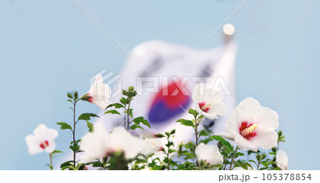 Blue sky Republic of Korea Taegeukgi and Mugunghwa flower and Samiljeol and Liberation Day, Constitution Day and Hangeul Day and Memorial Day Korean national holidays background Blue sky Republic of Korea Taegeukgi and Mugunghwa flower and Samiljeol and Liberation Day, Constitution Day and Hangeul Day and Memorial Day Korean national holidays background 105378854