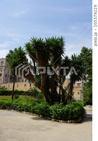 Norman Palace or Palazzo dei Normanni the Royal Palace at Palermo at Italy 105379229