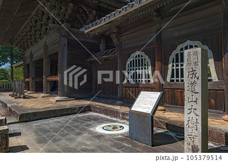 愛知 大樹寺の山門風景 105379514