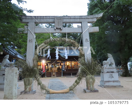 茅の輪くぐりの茅の輪、神社の鳥居に大きな茅の輪が取り付けられている 茅の輪くぐりの茅の輪、神社の鳥居に大きな茅の輪が取り付けられている 105379775
