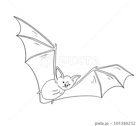 Line drawing of cute flying bat. Nocturnal mammal animal mascot for halloween. Outline vector illustration 105380232