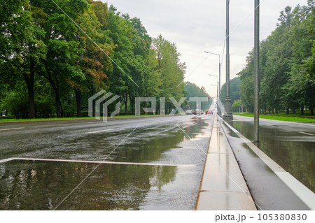 Wet asphalt road on a city street among green lindens on a summer rainy day. 105380830