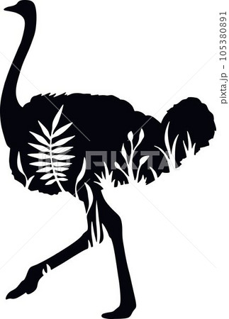 Ostrich - Floral Animals Vector, Cut Stencil, Laser Cut Ostrich - Floral Animals Vector, Cut Stencil, Laser Cut 105380891