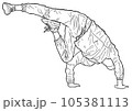 dancer05 105381113