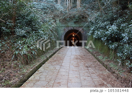 明治宇津ノ谷隧道（明治のトンネル） 105381448
