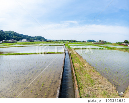 対角魚眼レンズで撮った田植え後の水田の美しい景色 東京・多摩八王子の原風景 対角魚眼レンズで撮った田植え後の水田の美しい景色 東京・多摩八王子の原風景 105381682