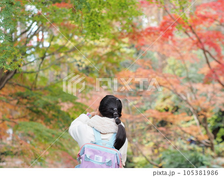 紅葉を眺める女性 105381986