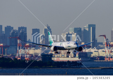 羽田空港に着陸する旅客機 105383285