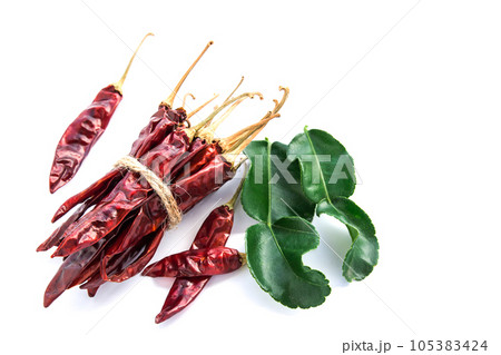 kaffir lime leaves and dry chili on white background kaffir lime leaves and dry chili on white background 105383424