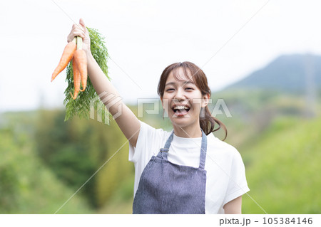 野菜を収穫する可愛い女性 野菜を収穫する可愛い女性 105384146