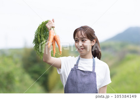 野菜を収穫する可愛い女性 野菜を収穫する可愛い女性 105384149