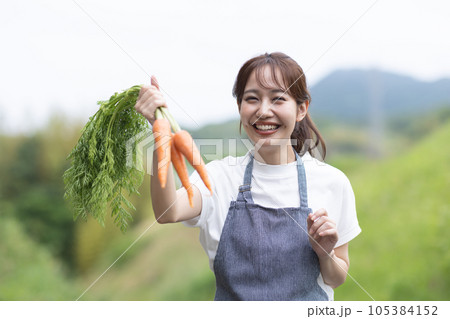 野菜を収穫する可愛い女性 野菜を収穫する可愛い女性 105384152