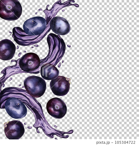 Board of acai berries and juice splash watercolor illustration isolated on white. Exotic amazon small purple berries, tropical fruit hand drawn. Design element for packaging, label, kitchen utensil 105384722