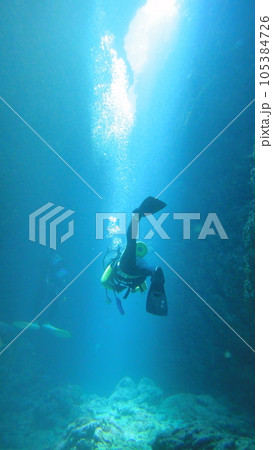 スキューバダイビング_沖縄の海_水中写真 105384726