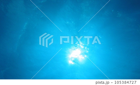 スキューバダイビング_沖縄の海_水中写真 スキューバダイビング_沖縄の海_水中写真 105384727