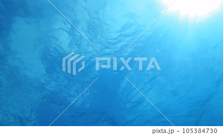 スキューバダイビング_沖縄の海_水中写真 スキューバダイビング_沖縄の海_水中写真 105384730