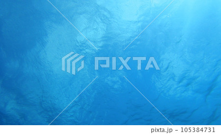 スキューバダイビング_沖縄の海_水中写真 105384731