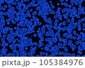 Cocci bacteria strain 105384976