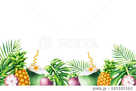 Watercolor tropical frame with coconut cocktail, mangosteen, pineapples and monstera and palm leaves. Ripe fruits illustrations isolated on white background. For designers, spa decoration, postcards, 105385562