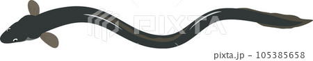 うなぎ イラスト #06 うなぎ イラスト #06 105385658