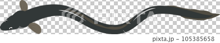 うなぎ イラスト #06 うなぎ イラスト #06 105385658